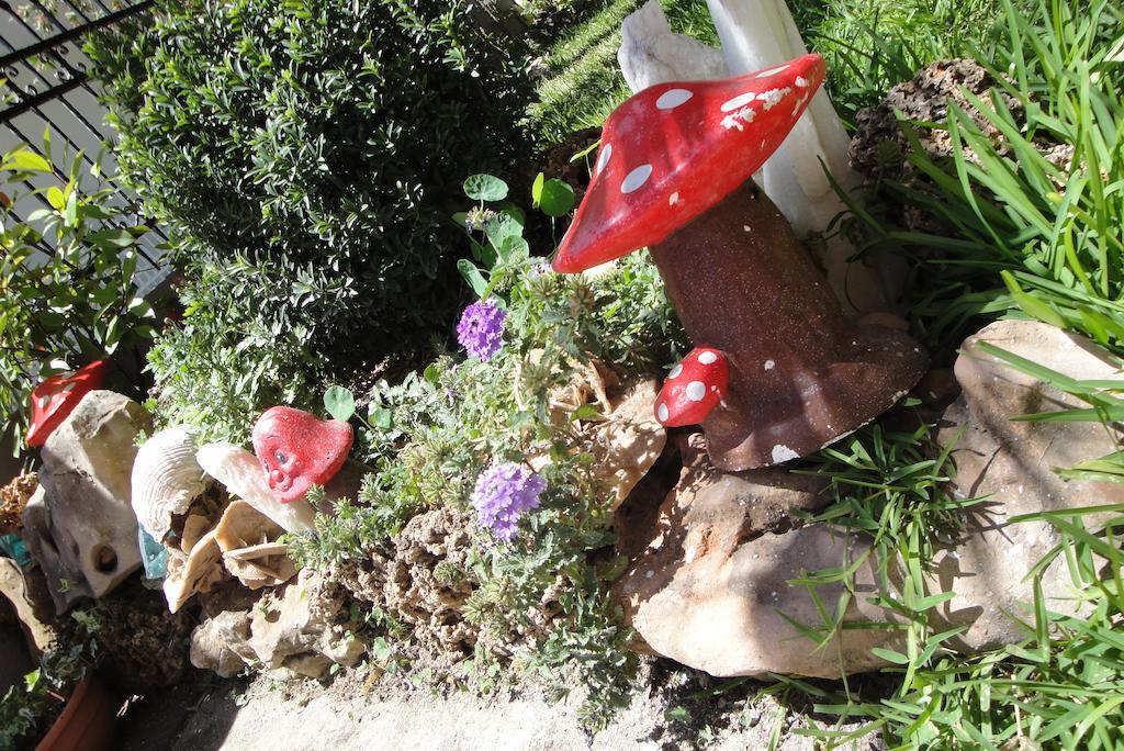Amaryllis Apartament *