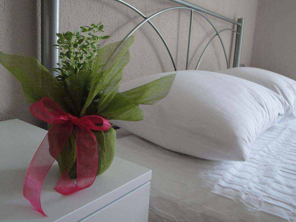 Amaryllis Asprovalta